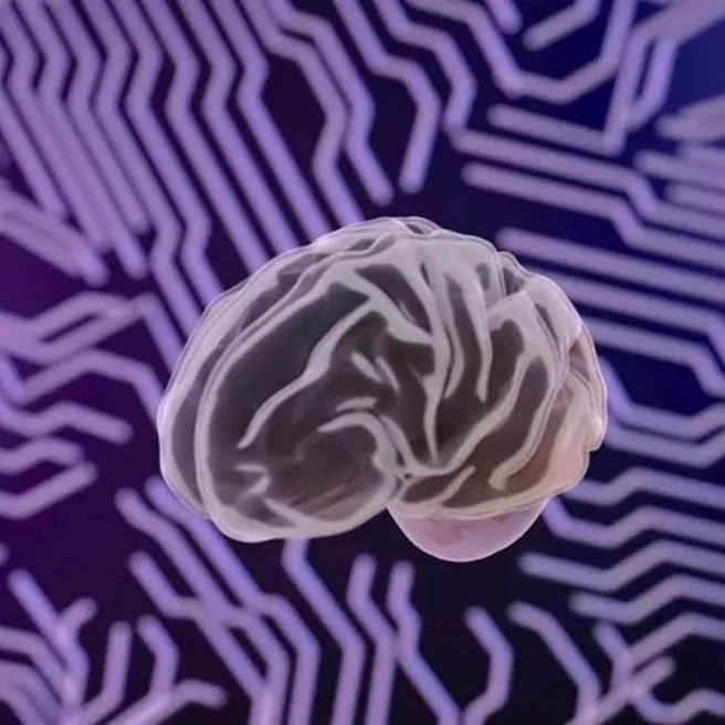 Représentation d’un cerveau humain illustrant les mécanismes et lésions d’un traumatisme crânien.